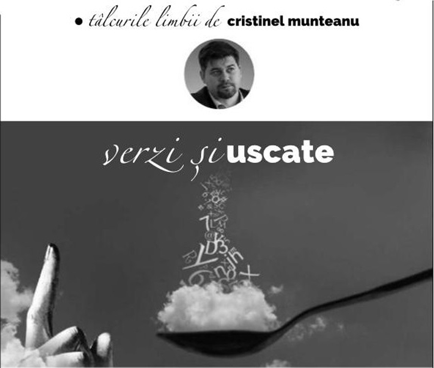 Permanent column in the magazine “România literară” (“Literary Romania”), signed by a professor of the DIU