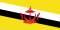 flag_of_brunei.svg.png